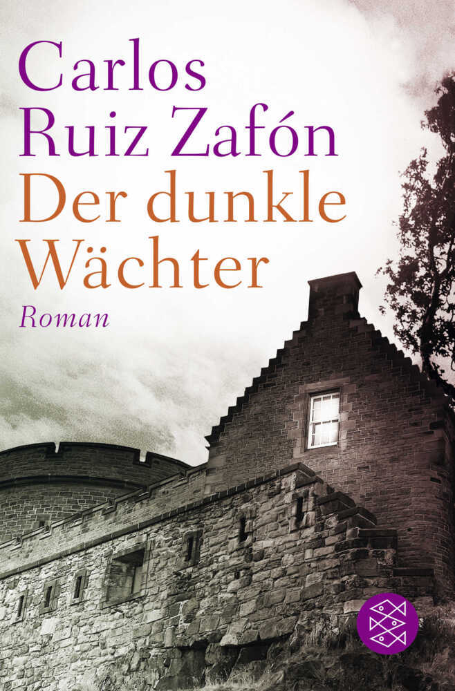 Der dunkle Wächter main product photo
