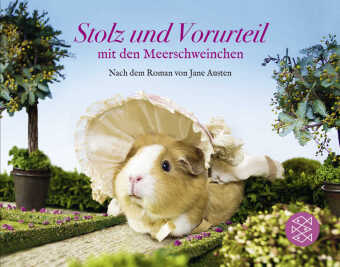 Stolz und Vorurteil mit den Meerschweinchen