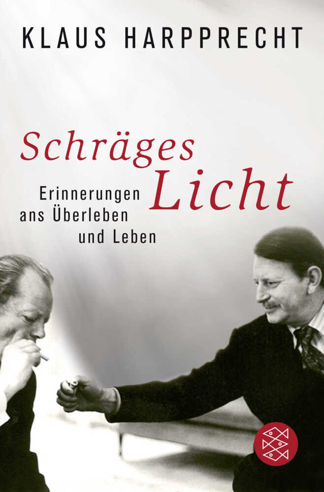 Schräges Licht main product photo