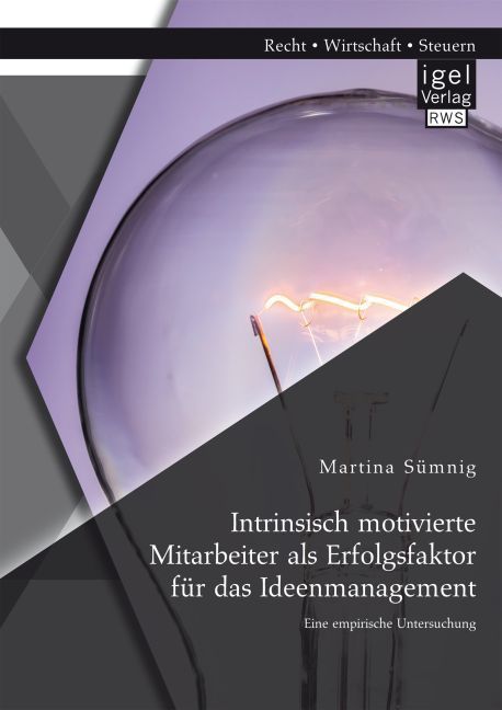 Intrinsisch motivierte Mitarbeiter als Erfolgsfaktor für das Ideenmanagement: Eine empirische Untersuchung main product photo