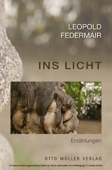 Ins Licht main product photo
