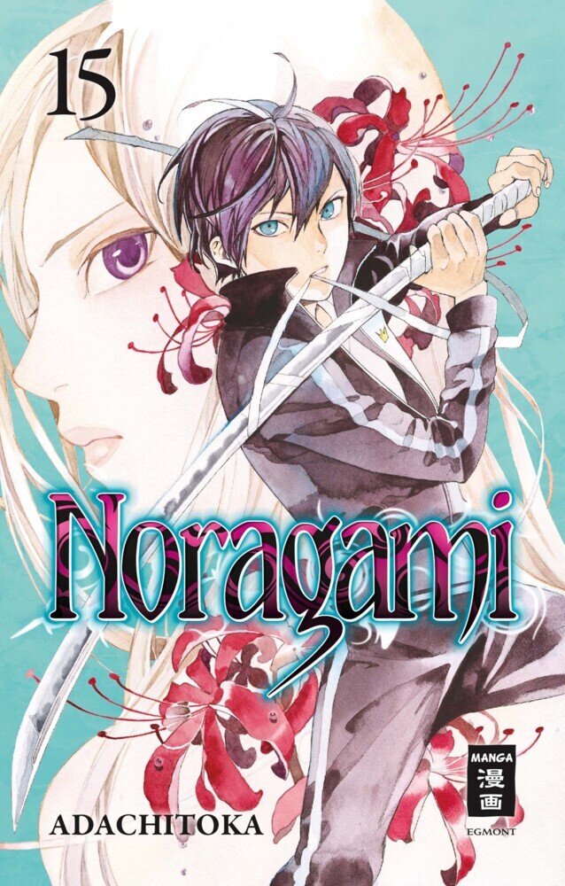 Noragami 15 main product photo