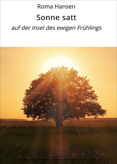 Sonne satt main product photo