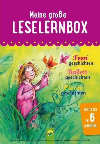 Meine große Leselernbox: Feengeschichten, Ballettgeschichten, Pferdegeschichten main product photo