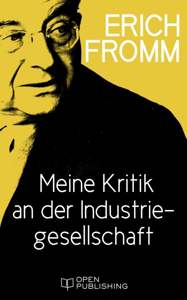 Meine Kritik an der Industriegesellschaft main product photo