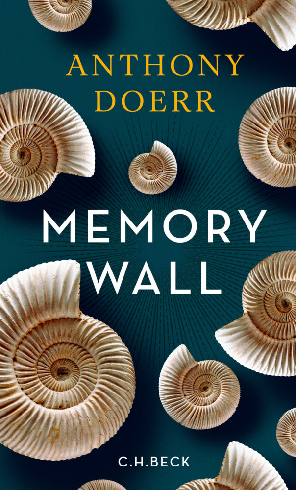 Memory Wall main product photo