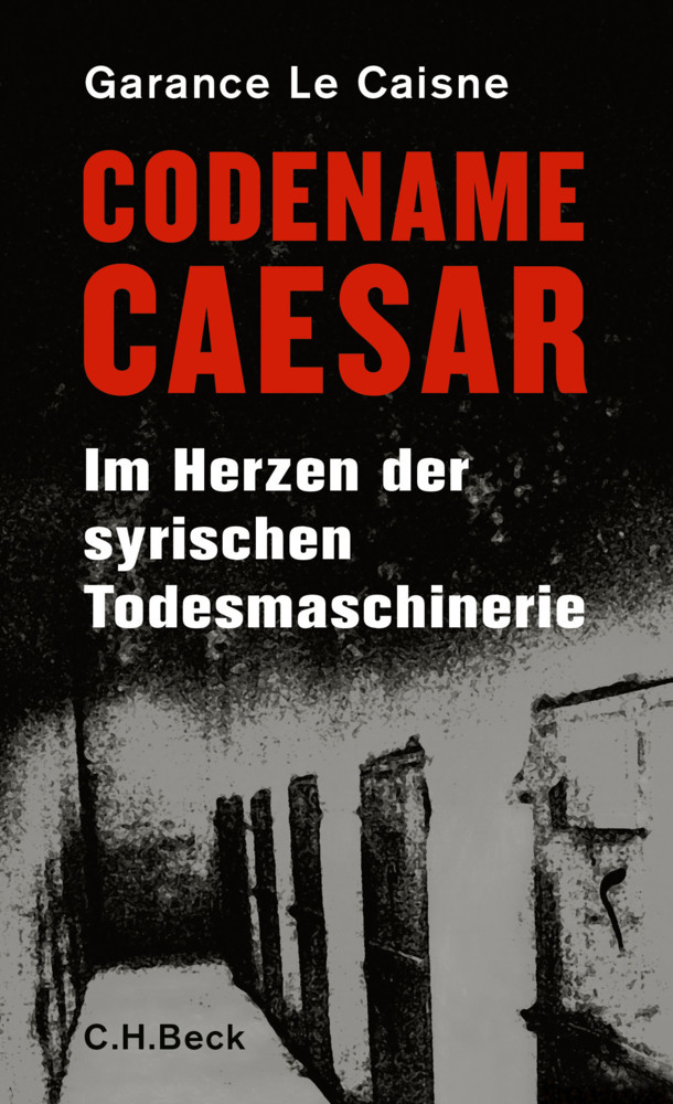 Codename Caesar main product photo