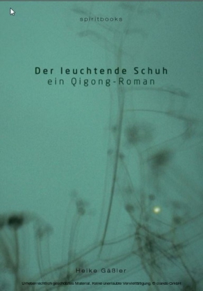 Der leuchtende Schuh
