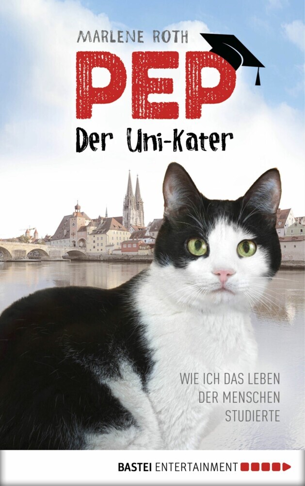 Pep, der Uni-Kater main product photo