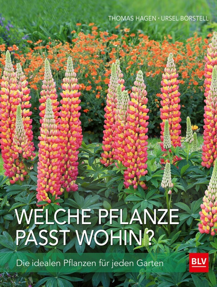 Welche Pflanze passt wohin? main product photo
