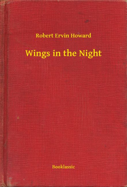 Wings in the Night main product photo