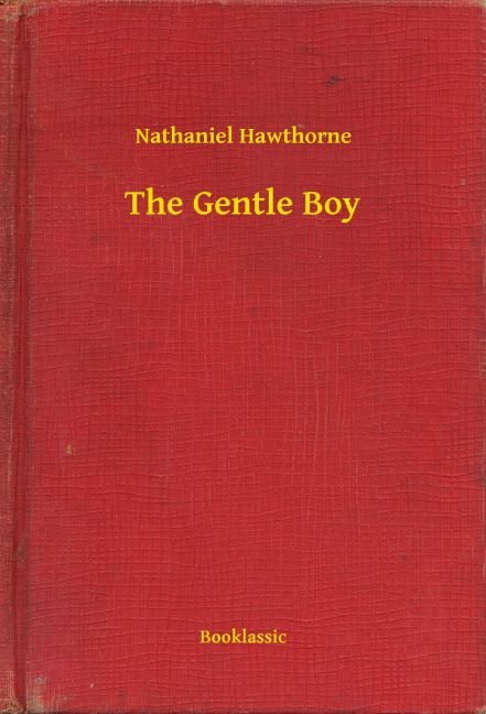 The Gentle Boy main product photo