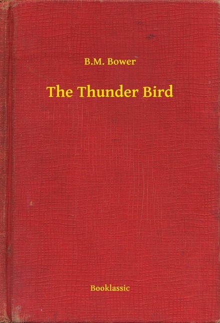 The Thunder Bird main product photo