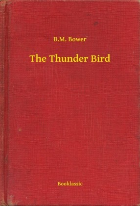 The Thunder Bird