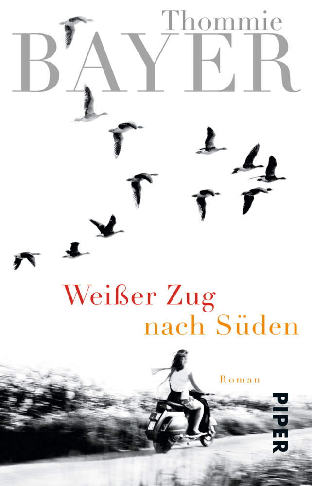 Weißer Zug nach Süden main product photo