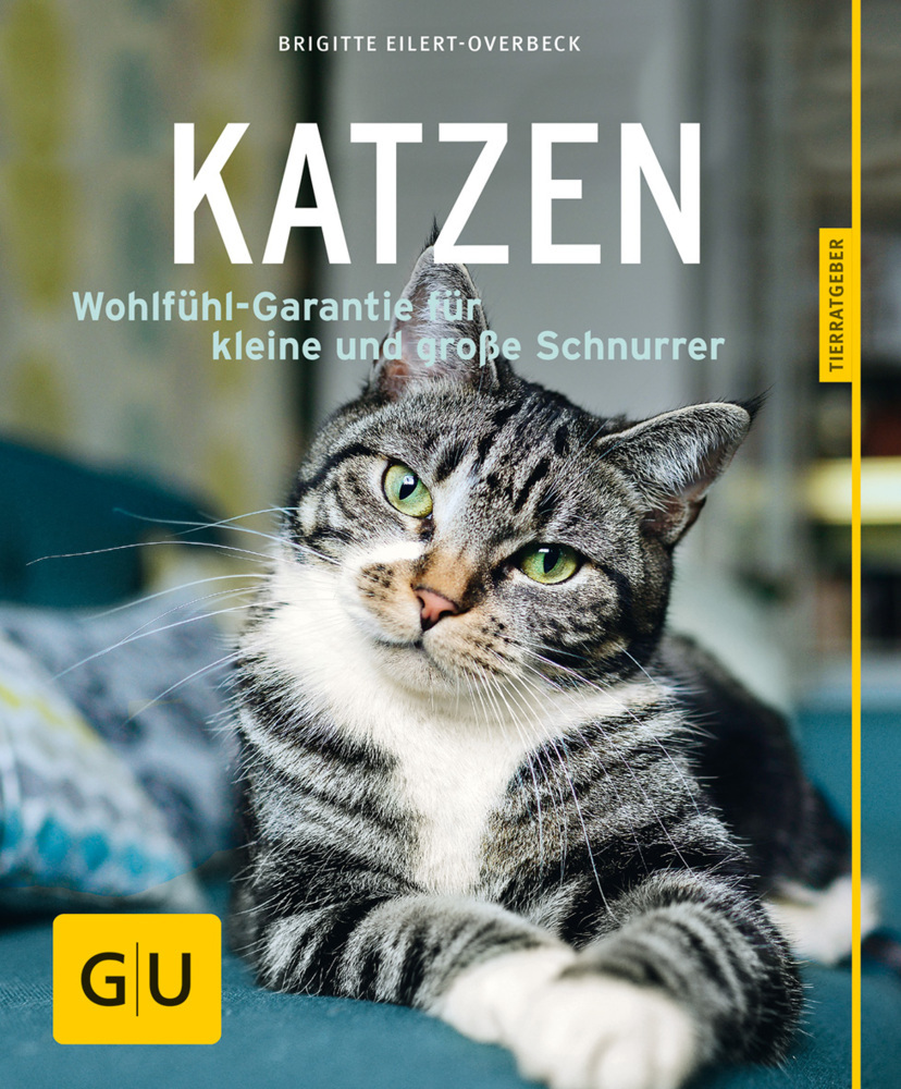 Katzen main product photo