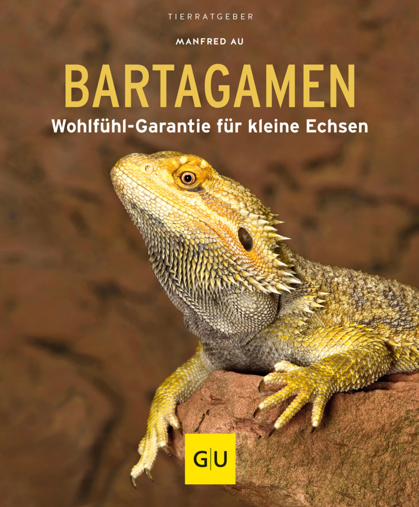 Bartagamen main product photo