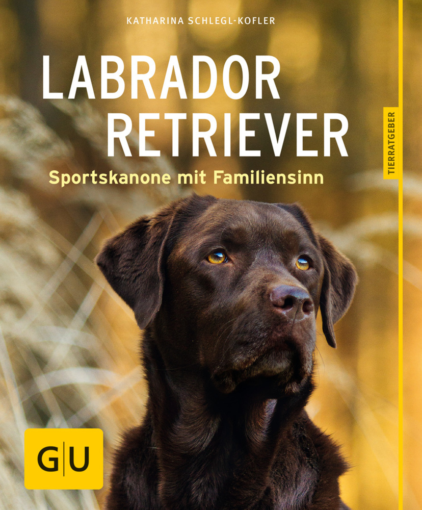 Labrador Retriever main product photo