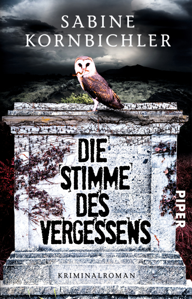 Die Stimme des Vergessens main product photo