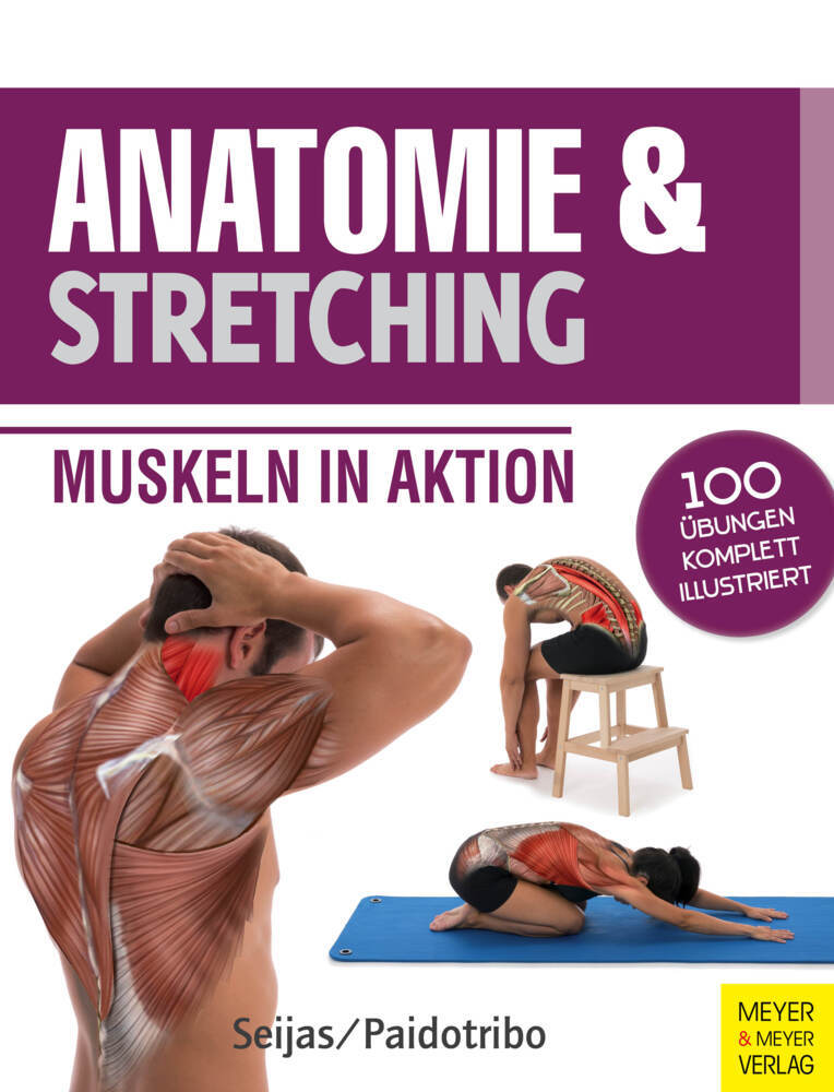 Anatomie & Stretching main product photo