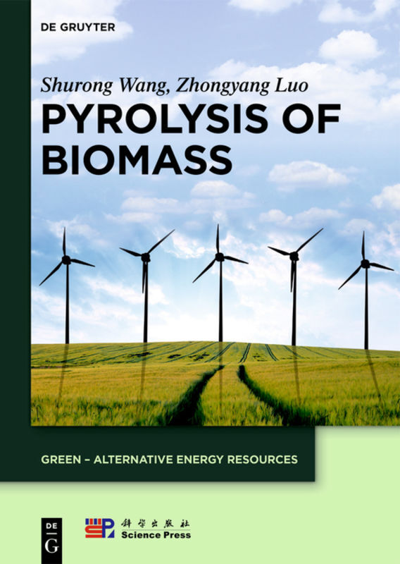 Pyrolysis of Biomass main product photo