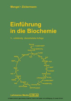 Einführung in die Biochemie