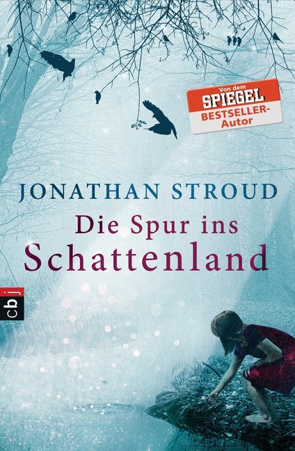 Die Spur ins Schattenland main product photo
