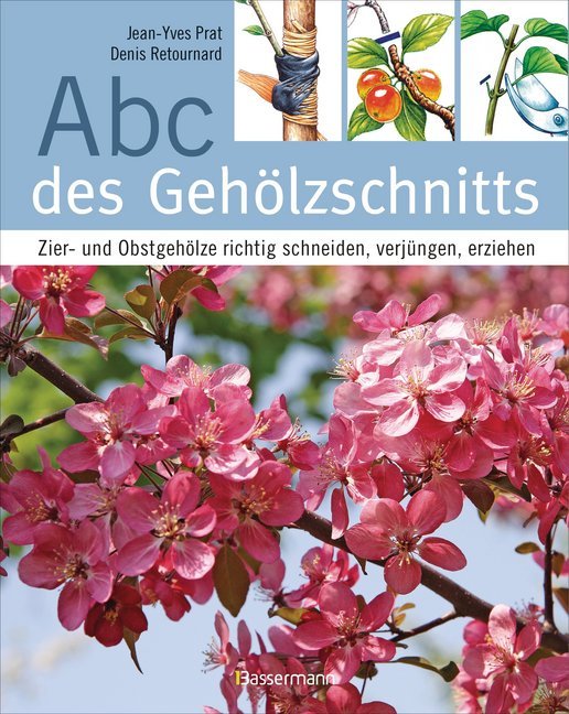 Abc des Gehölzschnitts main product photo