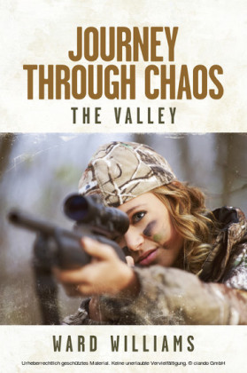 Journey Through Chaos: The Valley