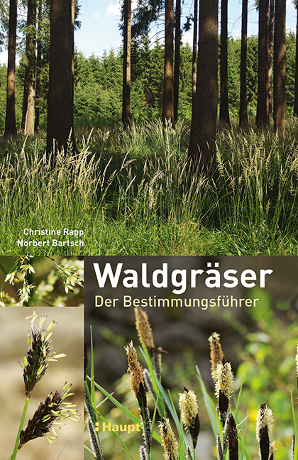 Waldgräser main product photo