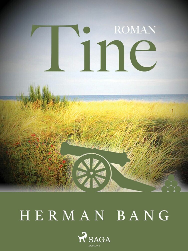 Tine main product photo