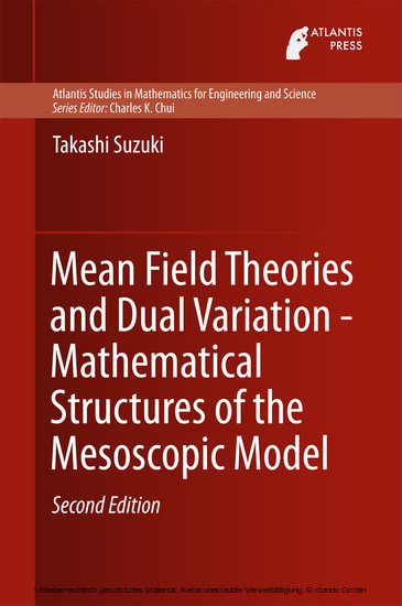 Mean Field Theories and Dual Variation - Mathematical Structures of the Mesoscopic Model main product photo