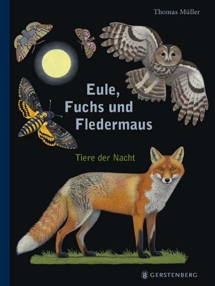 Eule, Fuchs und Fledermaus main product photo