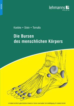 Die Bursen des menschlichen Körpers