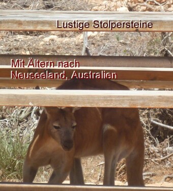 Lustige Stolpersteine