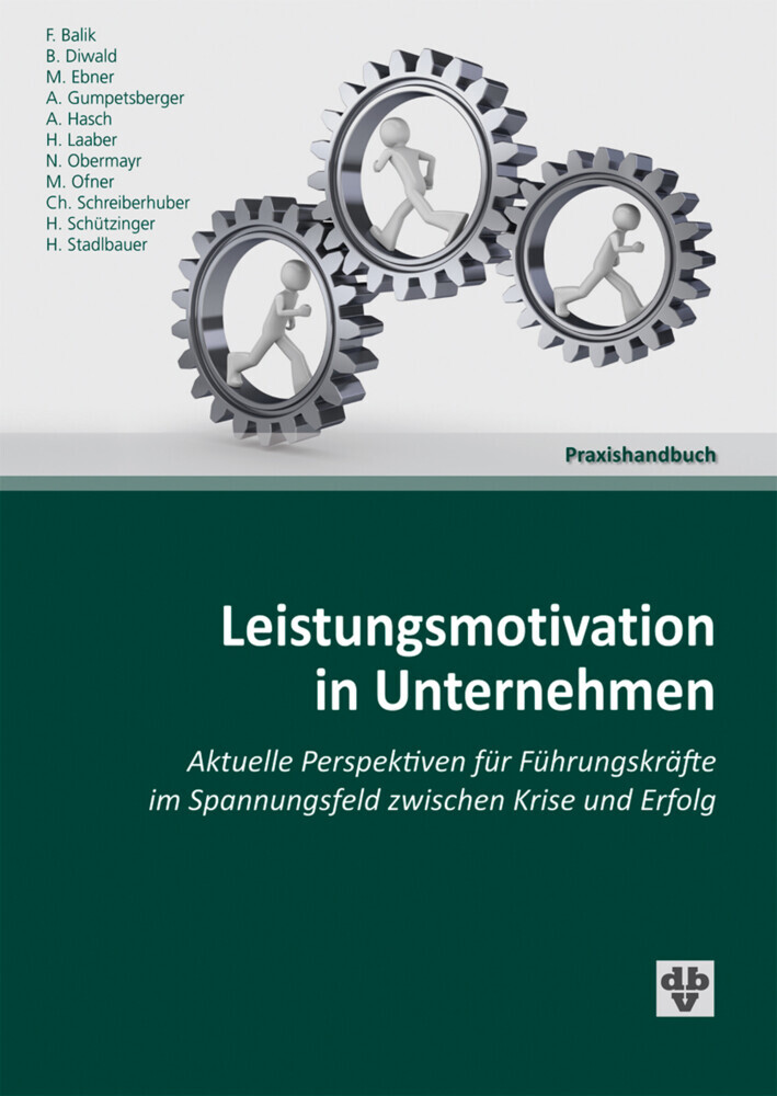 Leistungsmotivation in Unternehmen main product photo