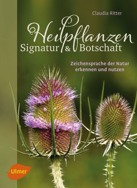 Heilpflanzen. Signatur und Botschaft main product photo