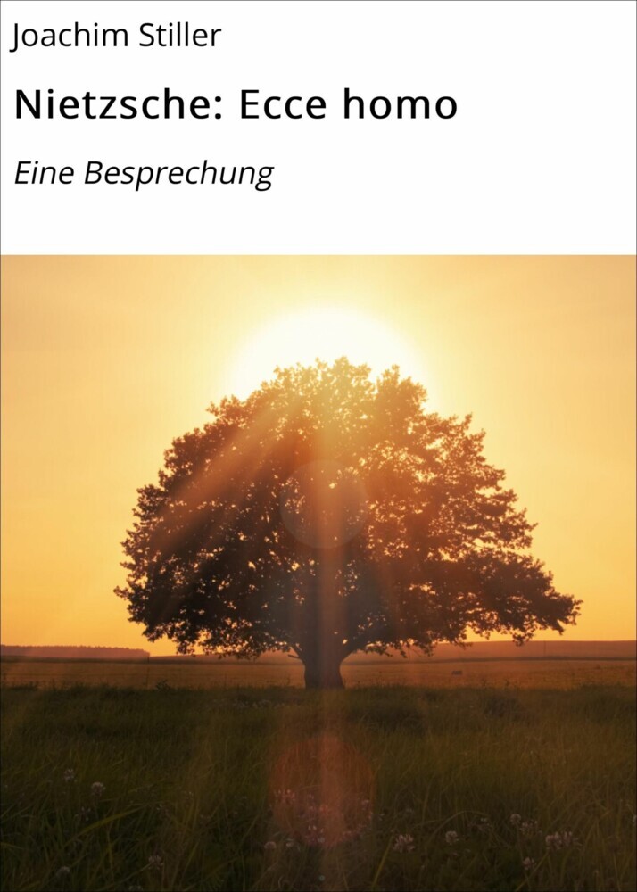 Nietzsche: Ecce homo main product photo