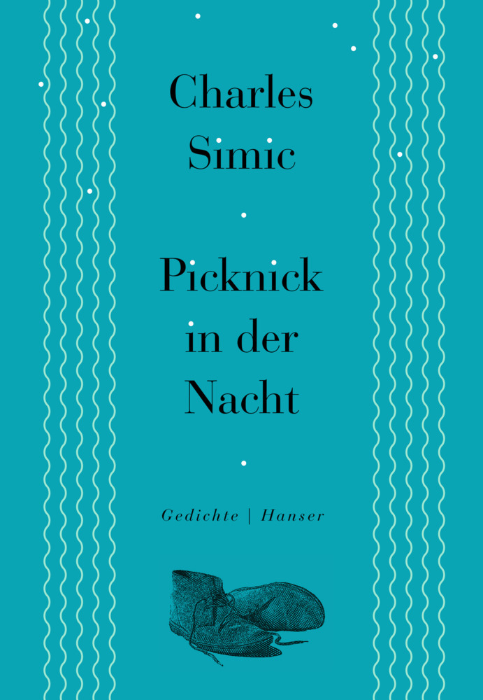 Picknick in der Nacht main product photo
