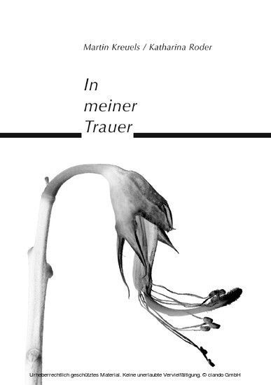 In meiner Trauer main product photo