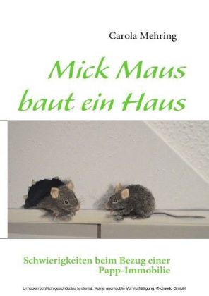 Mick Maus baut ein Haus