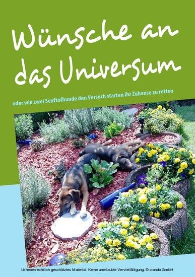 Wünsche an das Universum main product photo