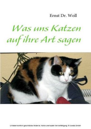 Was uns Katzen auf ihre Art sagen
