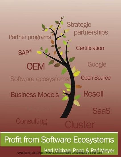 Profit from Software Ecosystems main product photo