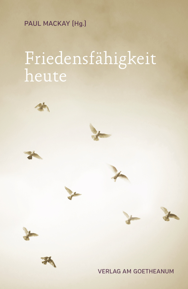 Friedensfähigkeit heute main product photo