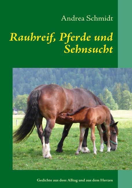 Rauhreif, Pferde und Sehnsucht main product photo