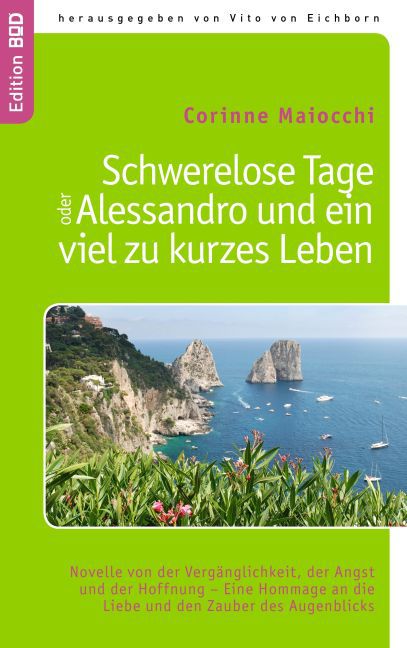 Schwerelose Tage oder: Alessandro und ein viel zu kurzes Leben main product photo