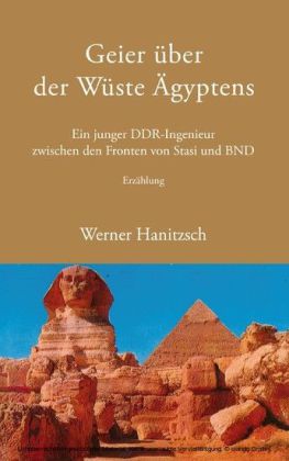 Geier über der Wüste Ägyptens
