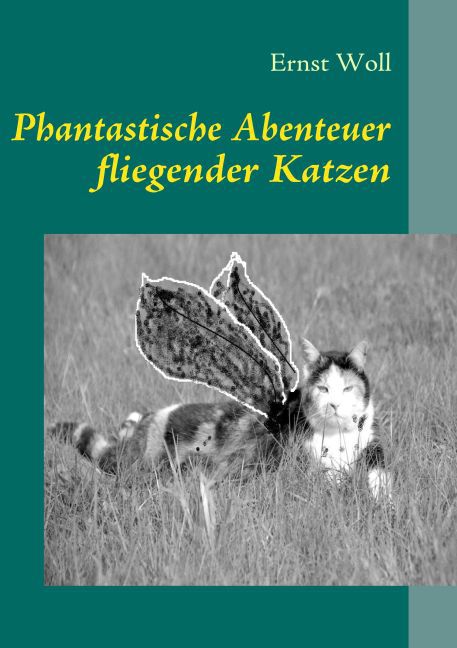 Phantastische Abenteuer fliegender Katzen main product photo