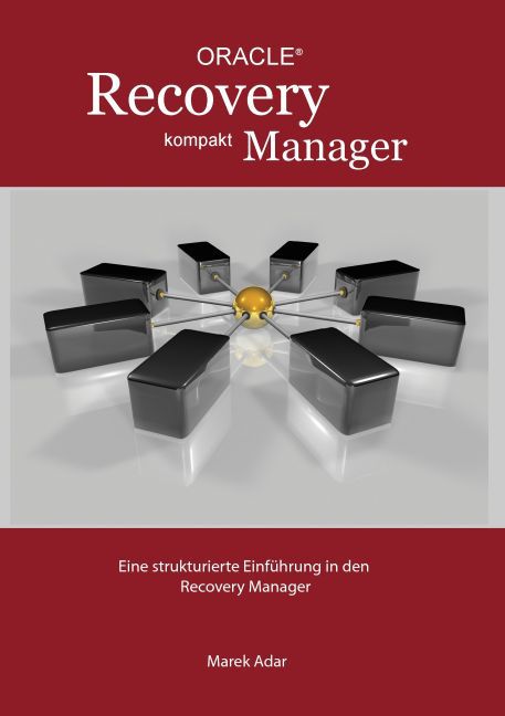 Recovery Manager Kompakt main product photo